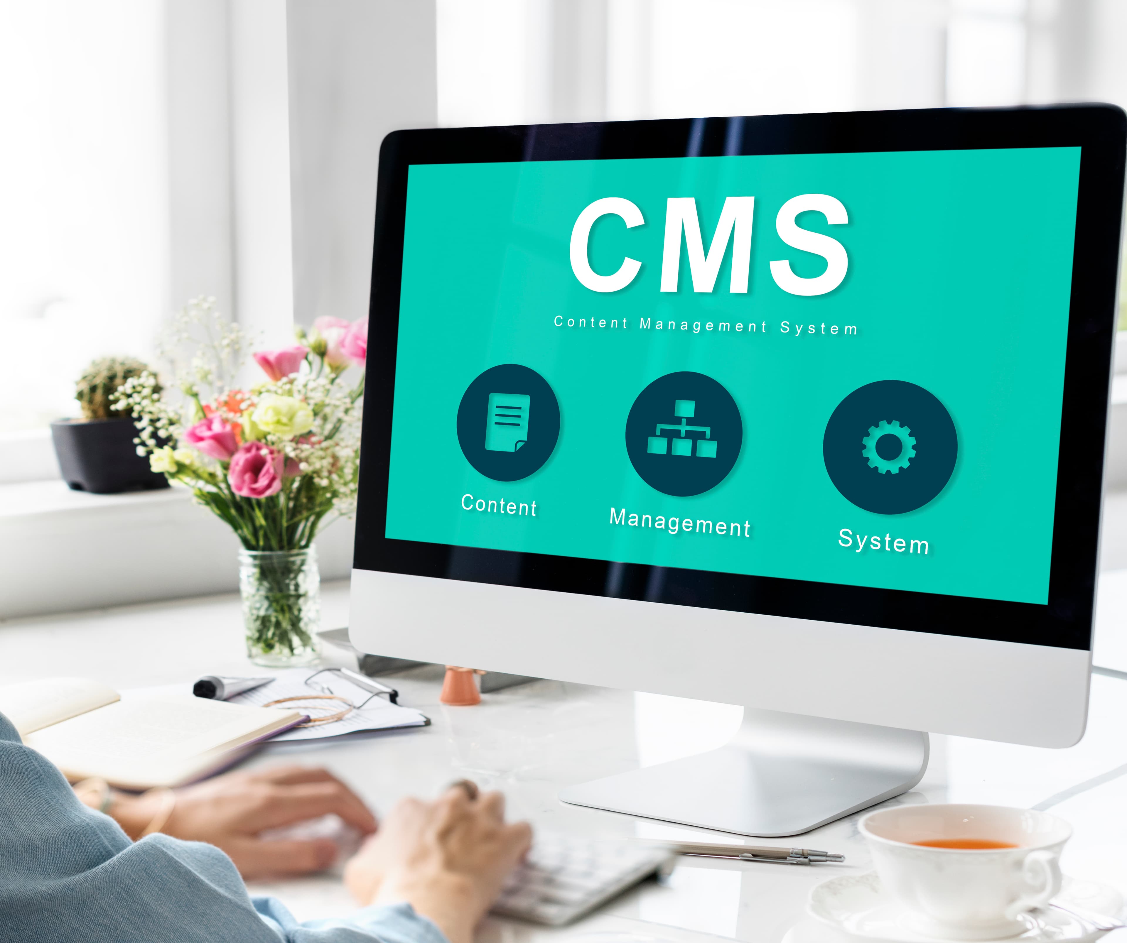 CMS Website Development